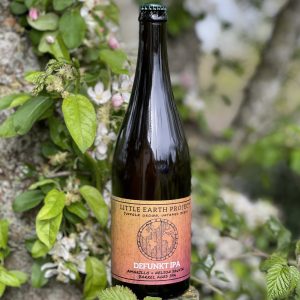Defunkt IPA (Amarillo and Nelson Sauvin) - Little Earth Project