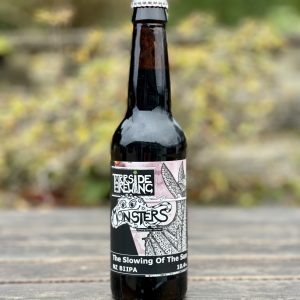 The Slowing Of The Sun - Torrside